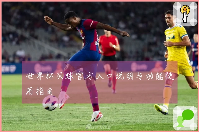 世界杯买球官方入口说明与功能使用指南