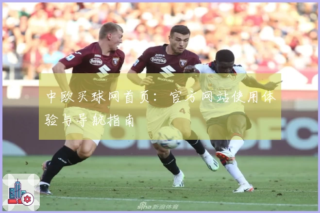 中欧买球网首页：官方网站使用体验与导航指南