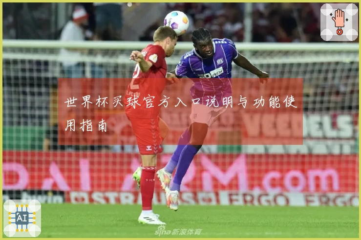 世界杯买球官方入口说明与功能使用指南