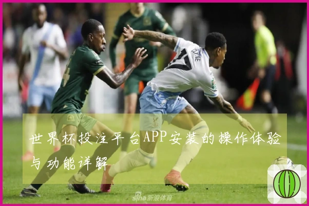 世界杯投注平台APP安装的操作体验与功能详解