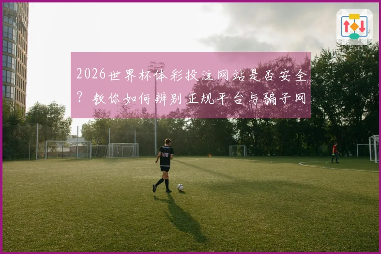 2026世界杯体彩投注网站是否安全？教你如何辨别正规平台与骗子网站