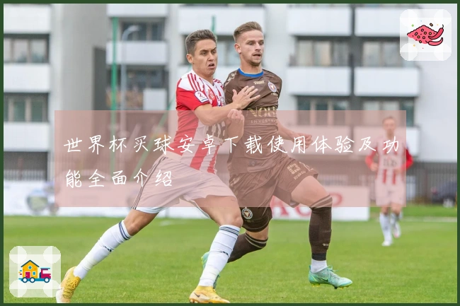 世界杯买球安卓下载使用体验及功能全面介绍