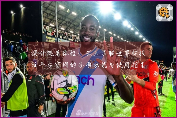 提升观看体验，深入了解世界杯投注平台官网的各项功能与使用指南