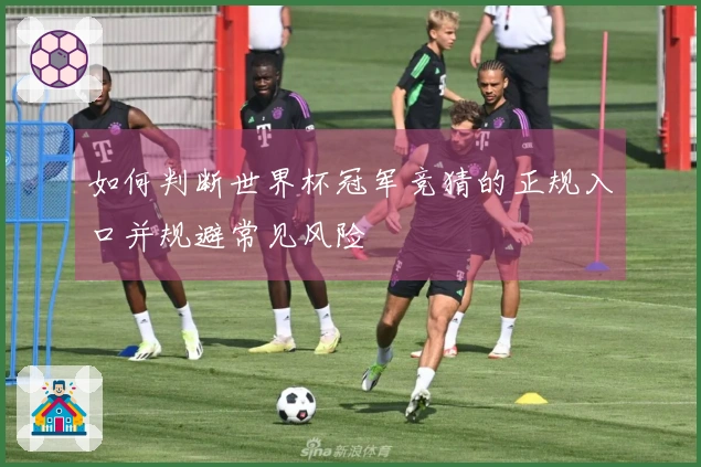 如何判断世界杯冠军竞猜的正规入口并规避常见风险