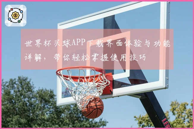 世界杯买球APP下载界面体验与功能详解，带你轻松掌握使用技巧