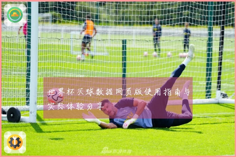 世界杯买球数据网页版使用指南与实际体验分享
