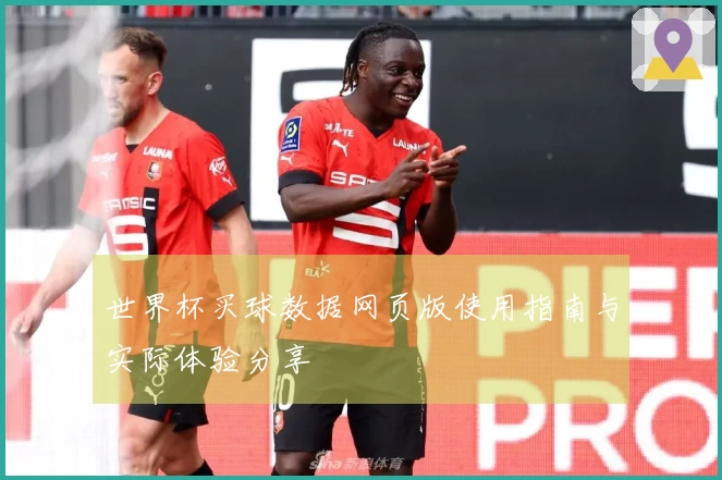 世界杯买球数据网页版使用指南与实际体验分享