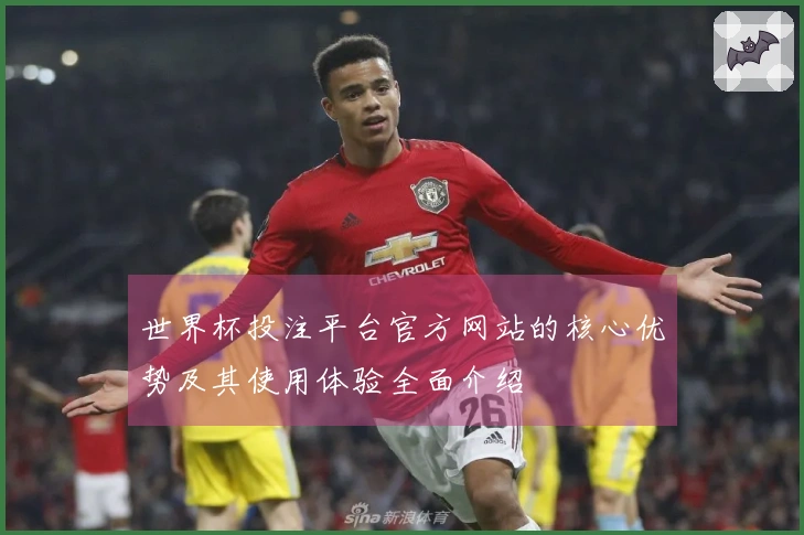 世界杯投注平台官方网站的核心优势及其使用体验全面介绍