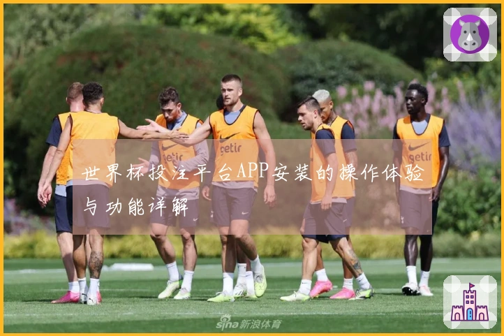 世界杯投注平台APP安装的操作体验与功能详解